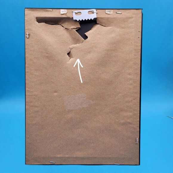 "Rose" By Angelina Wrona Framed Fine Art Print Gothic Halloween Decor 10x12" - Picture 8 of 9